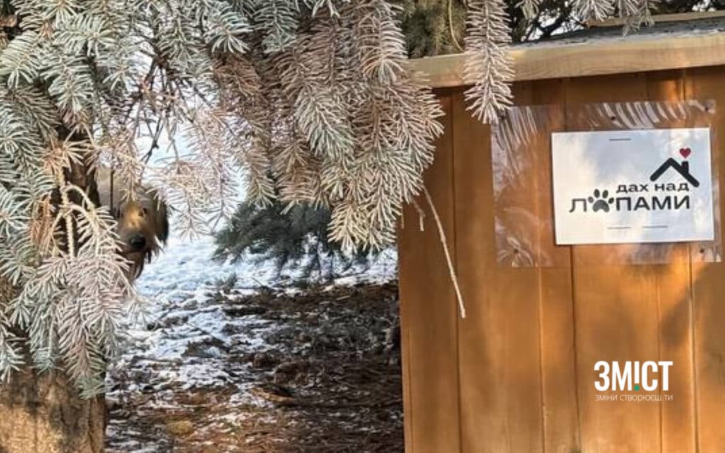 «Дах над лапками»