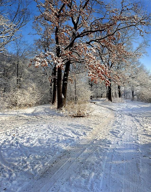 Валерій Черкас