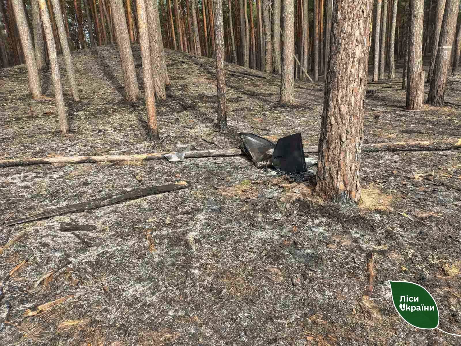 Уламки дрона спричинили лісову пожежу на Полтавщині