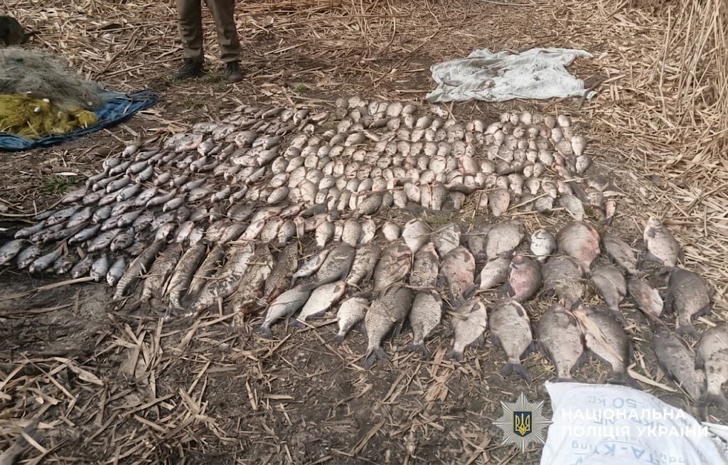 Почали розслідування щодо незаконного вилову риби
