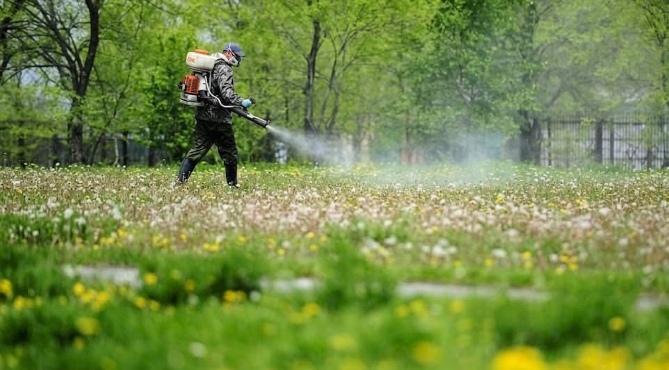 Обробка парків від кліщів. Ілюстративна світлина