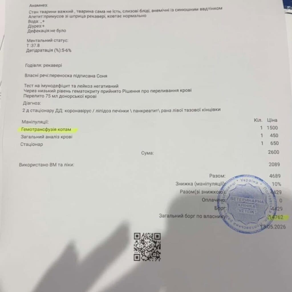 кота донора потрібно знайти у у полтаві