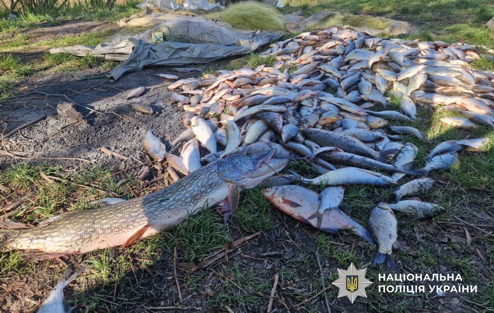 Незаконний вилов риби на Дніпрі