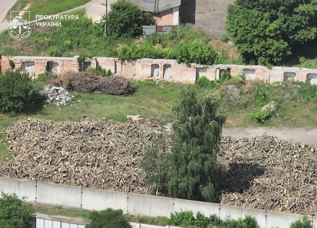 «Чорні лісоруби» завдали Полтавщині майже три мільйони гривень збитків
