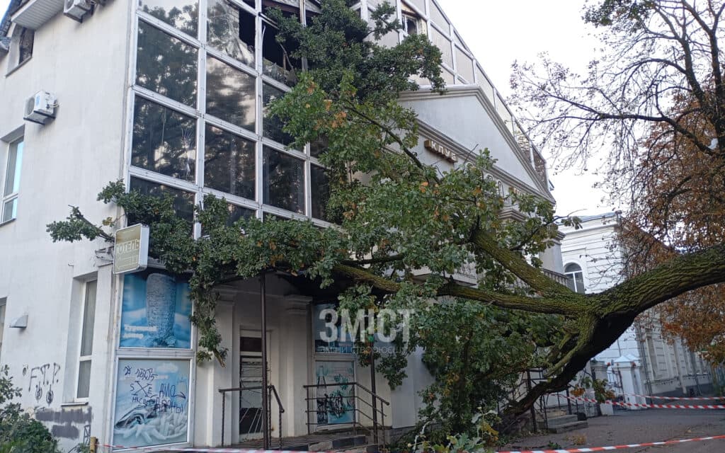 Наслідки падіння дерева у Полтаві