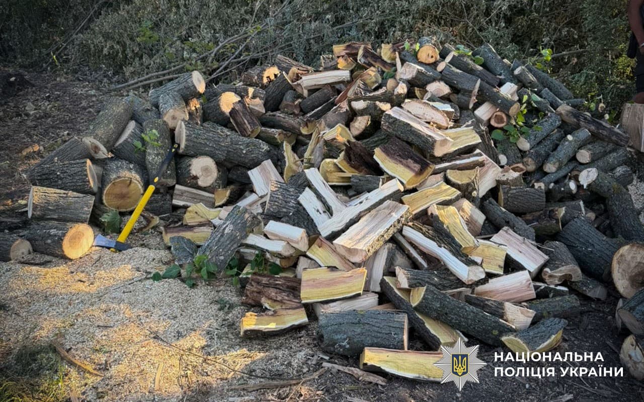 Викрили незаконну порубку дерев
