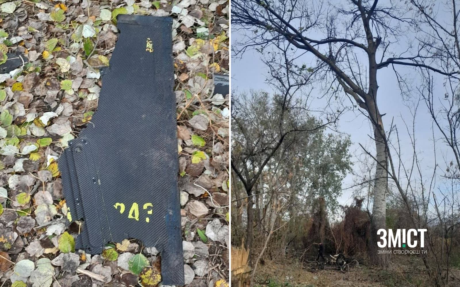Дрон врізався в дерево
