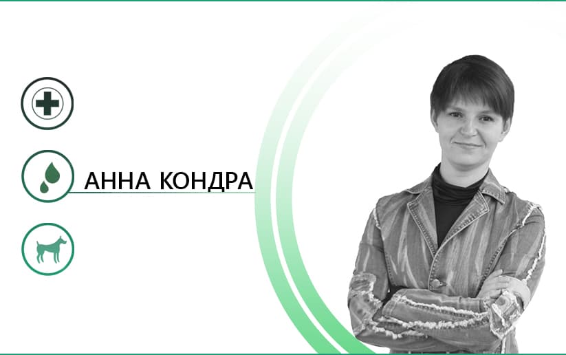 Зачем нужно знать о первой помощи животному