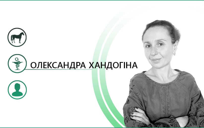 Нам всем нужна иппотерапия