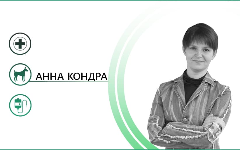 Нужна ли база доноров крови для домашних животных?