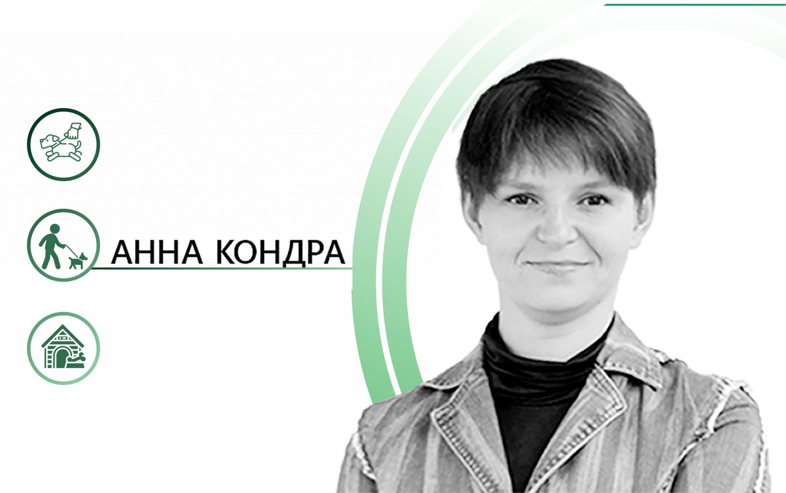 Прежде чем бросить камень в волонтера. Полтавские войны защитников и противников собак