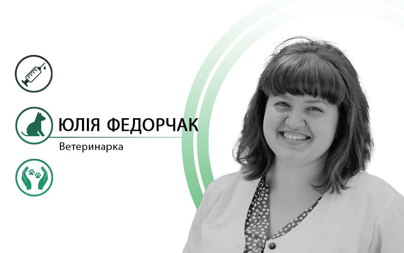 Первісток у сім’ї. Чек-лист для власника кошеняти або цуценяти
