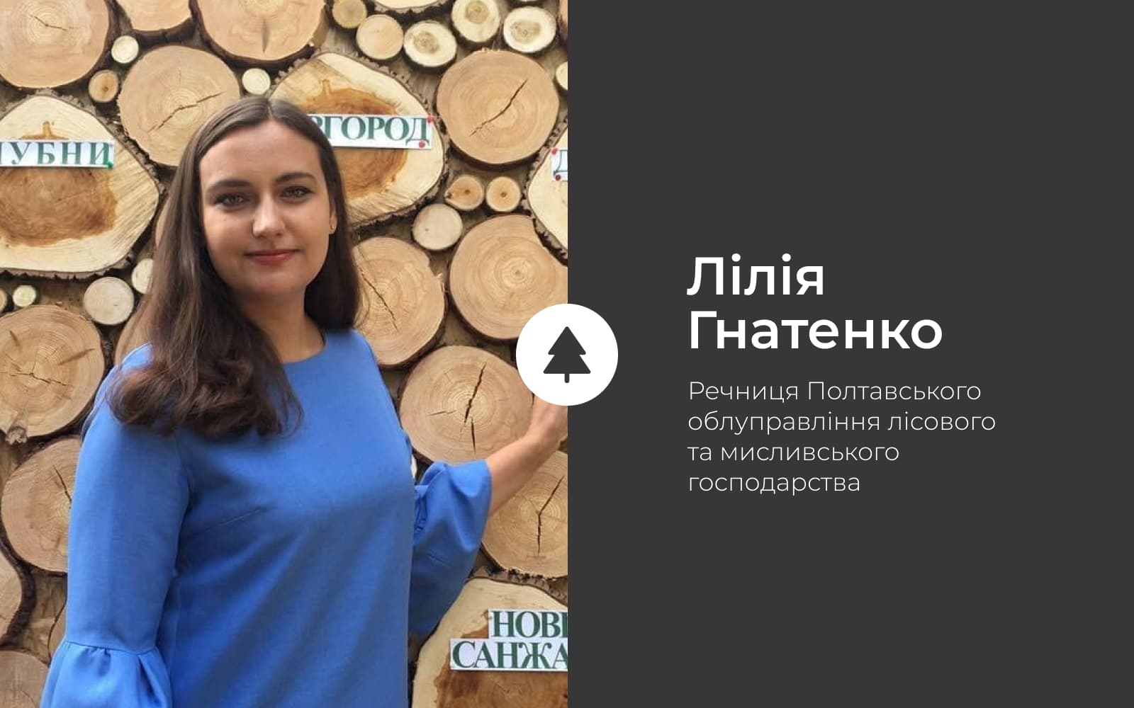 Зрубана ялинка береже екологію краще за штучну. Ось чому