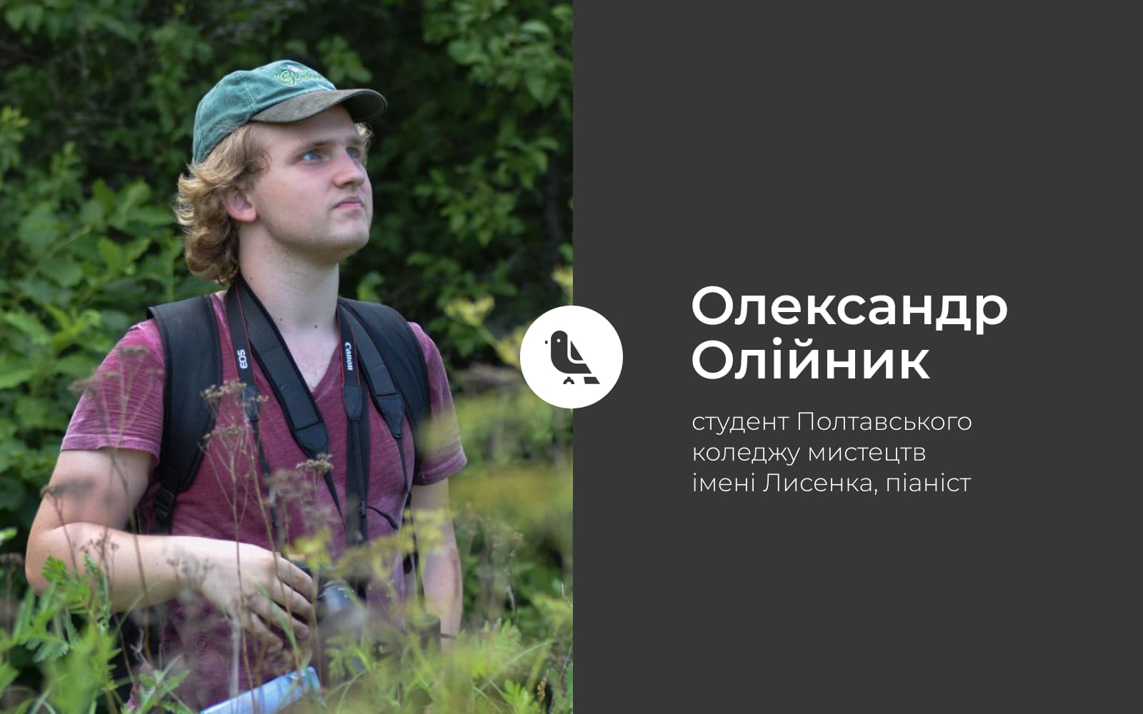 З чого почати спостереження за птахами. 5 порад для новачків