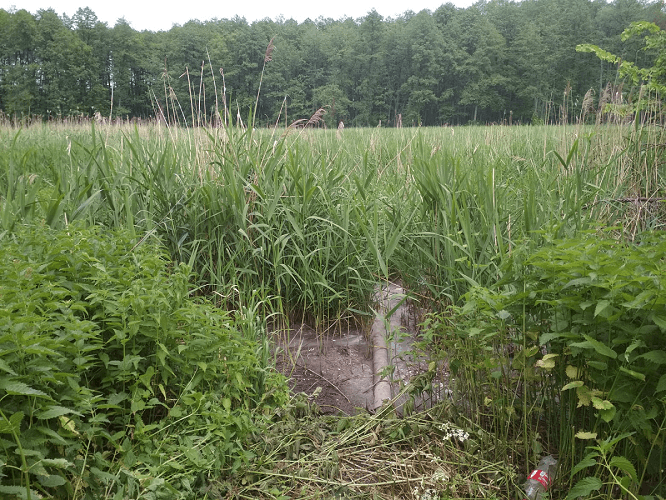 image_2021-08-03_17-40-31