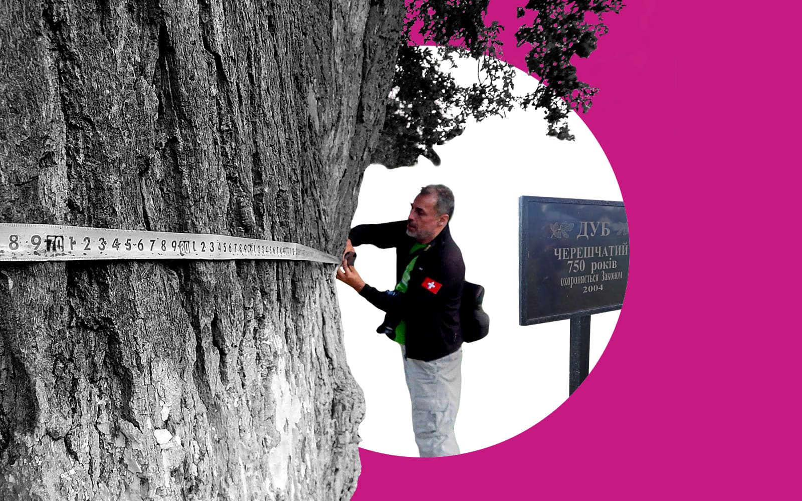 Обкладинка_ дуби_12.10.2021