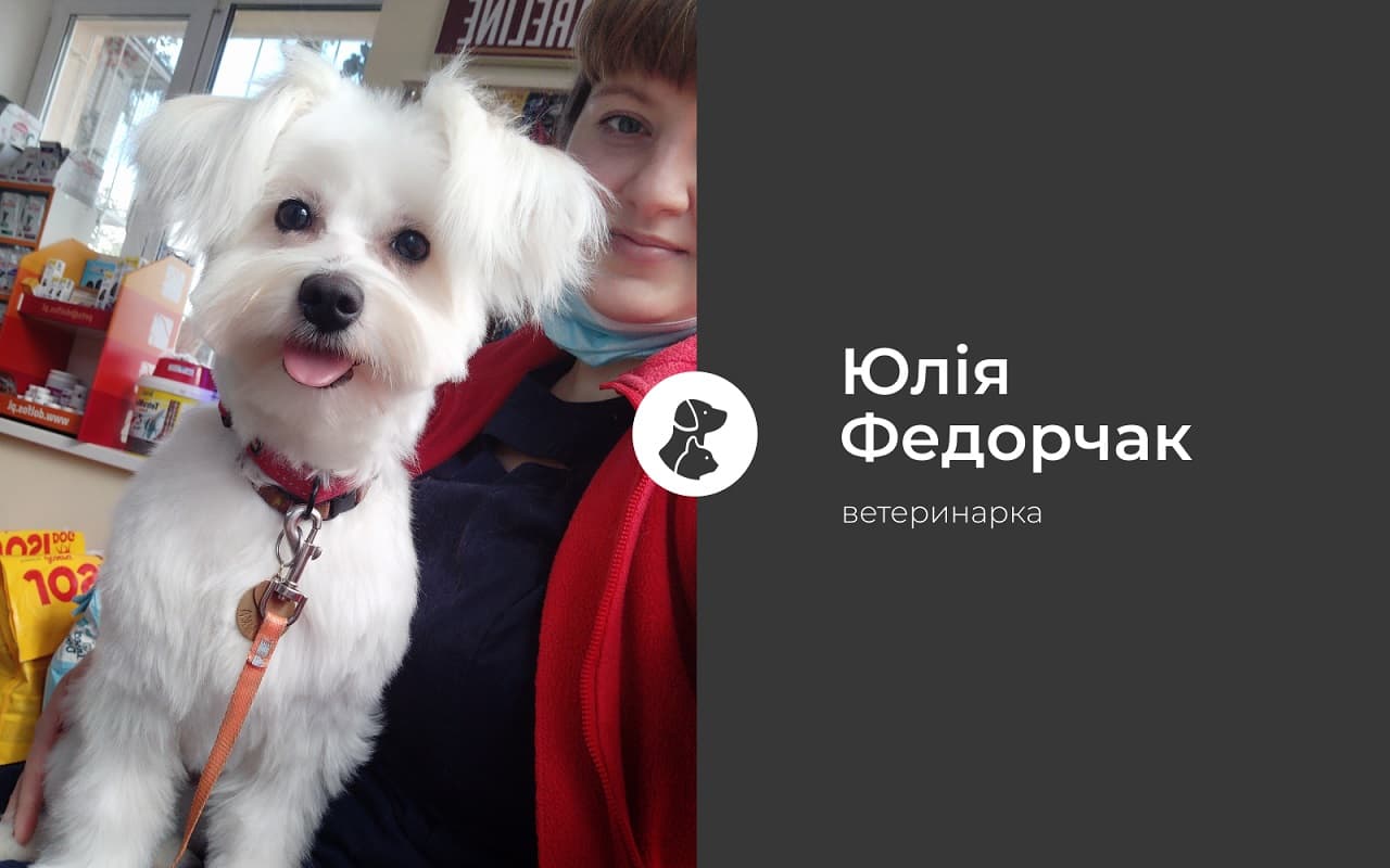 Демодекоз, або підшкірний кліщ. Допоможіть своїм улюбленцям