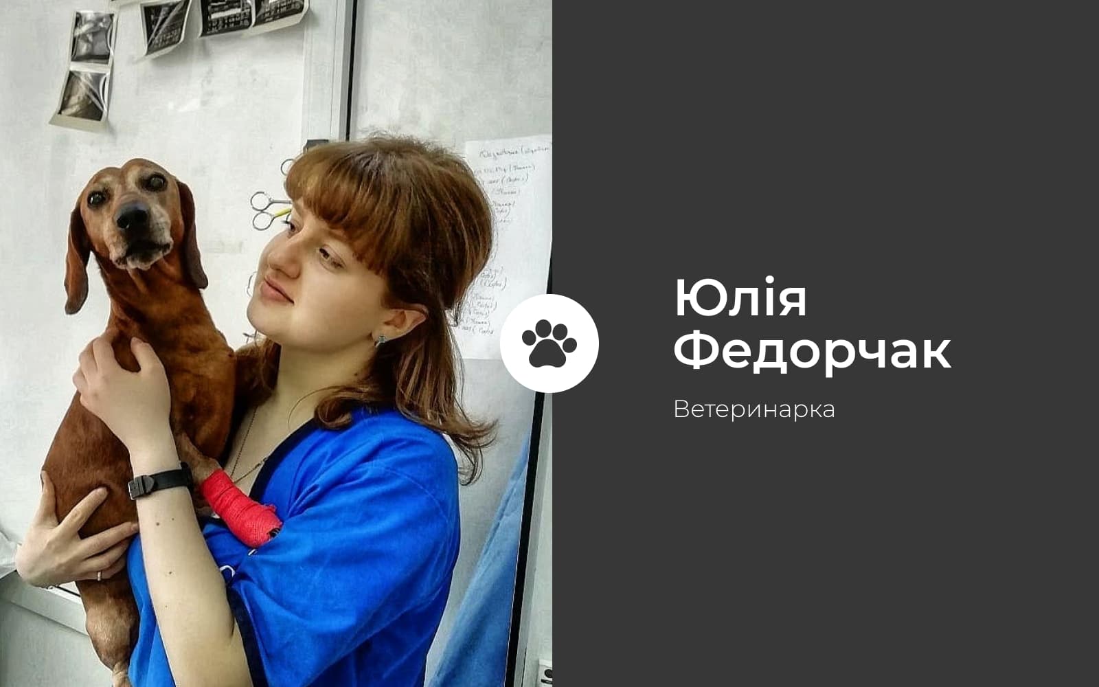 Навіщо догхантери вбивають собак?