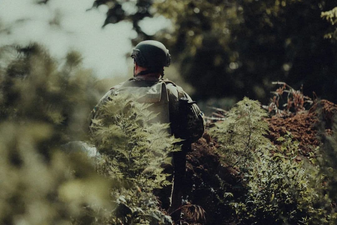 Ілюстративне фото