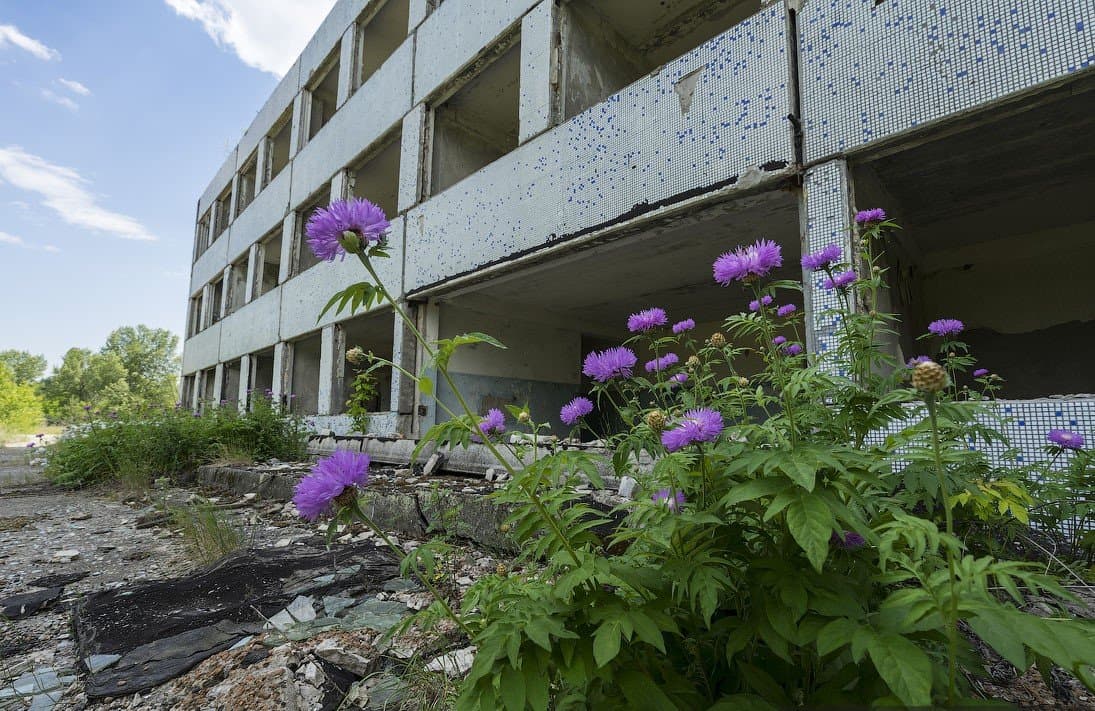 Закинуте селище Орбіта, яке розглядали як містечко енергетиків для Чигиринської АЕС