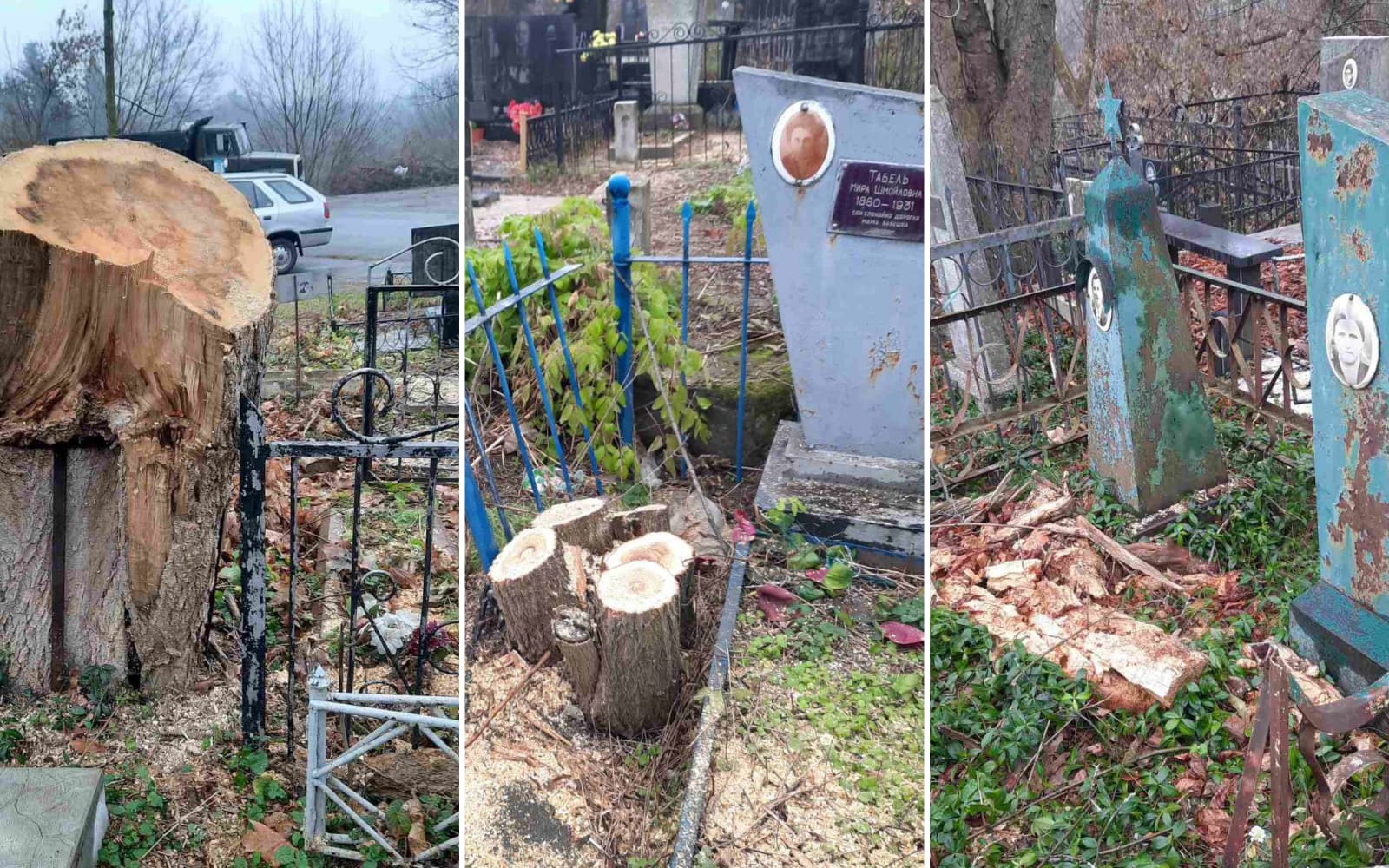 Вирубка дерев на цвинтарі