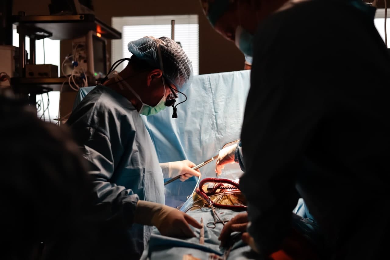 photo_2022-12-16_18-00-02 (2)