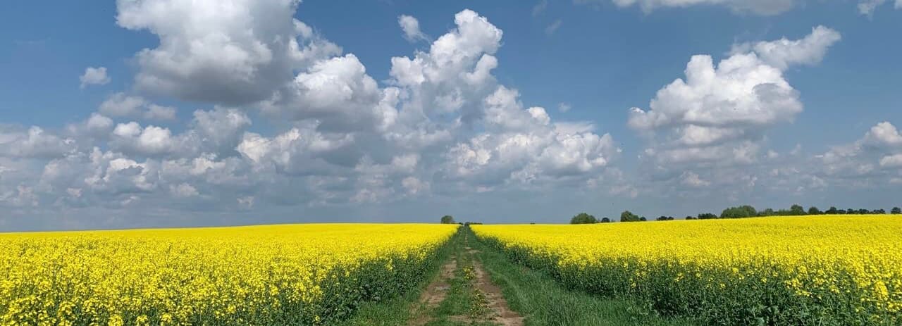 Ілюстративне фото