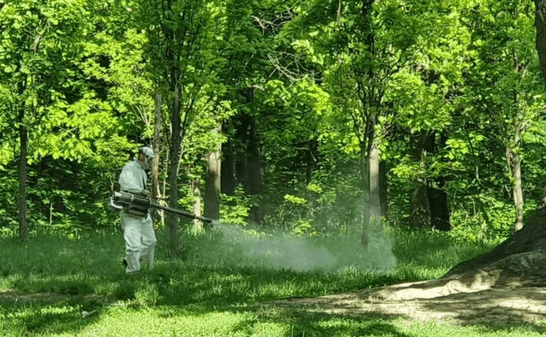 Ілюстративне фото