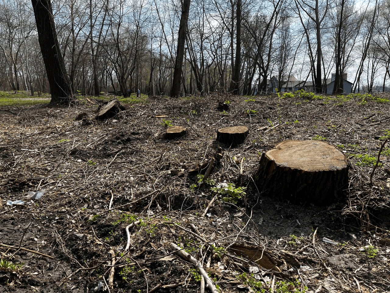 Ілюстративне фото