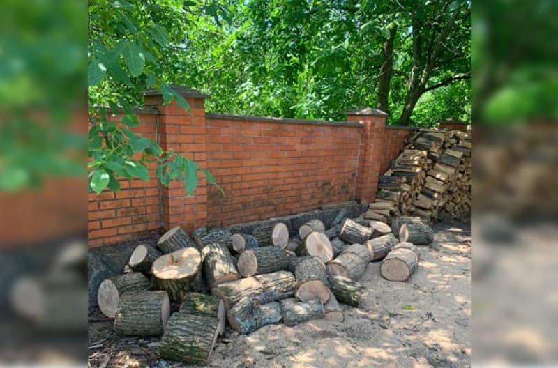 thumb_96917_800_600_0_0_auto