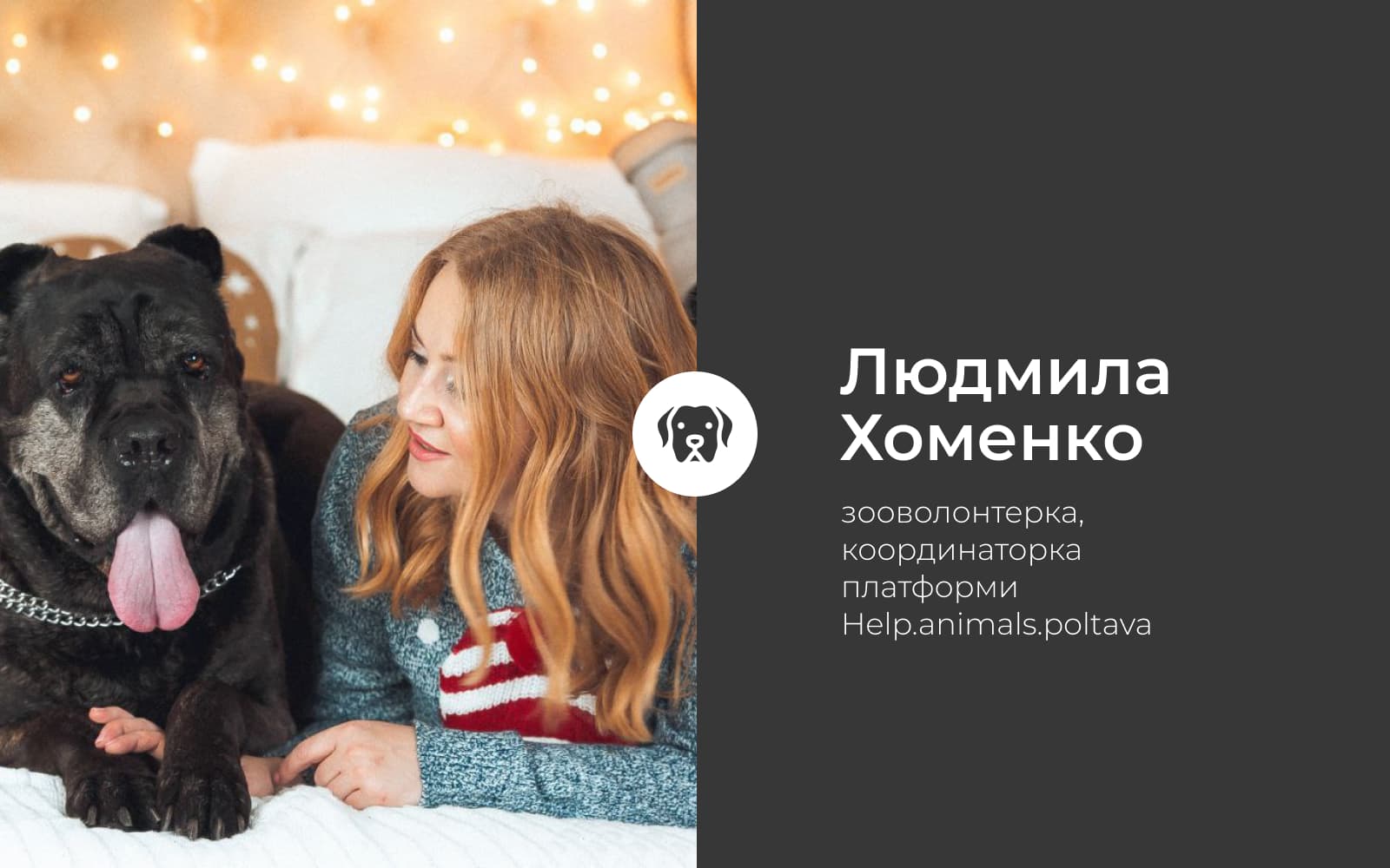 Усе про стерилізацію та чому варто дбати про безпритульних тварин