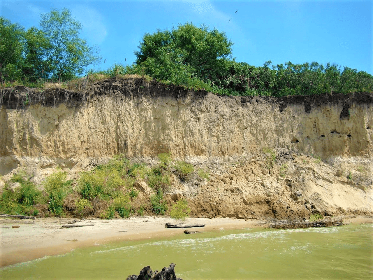 Берег Кременчуцького водосховища в межах Мозоліївки