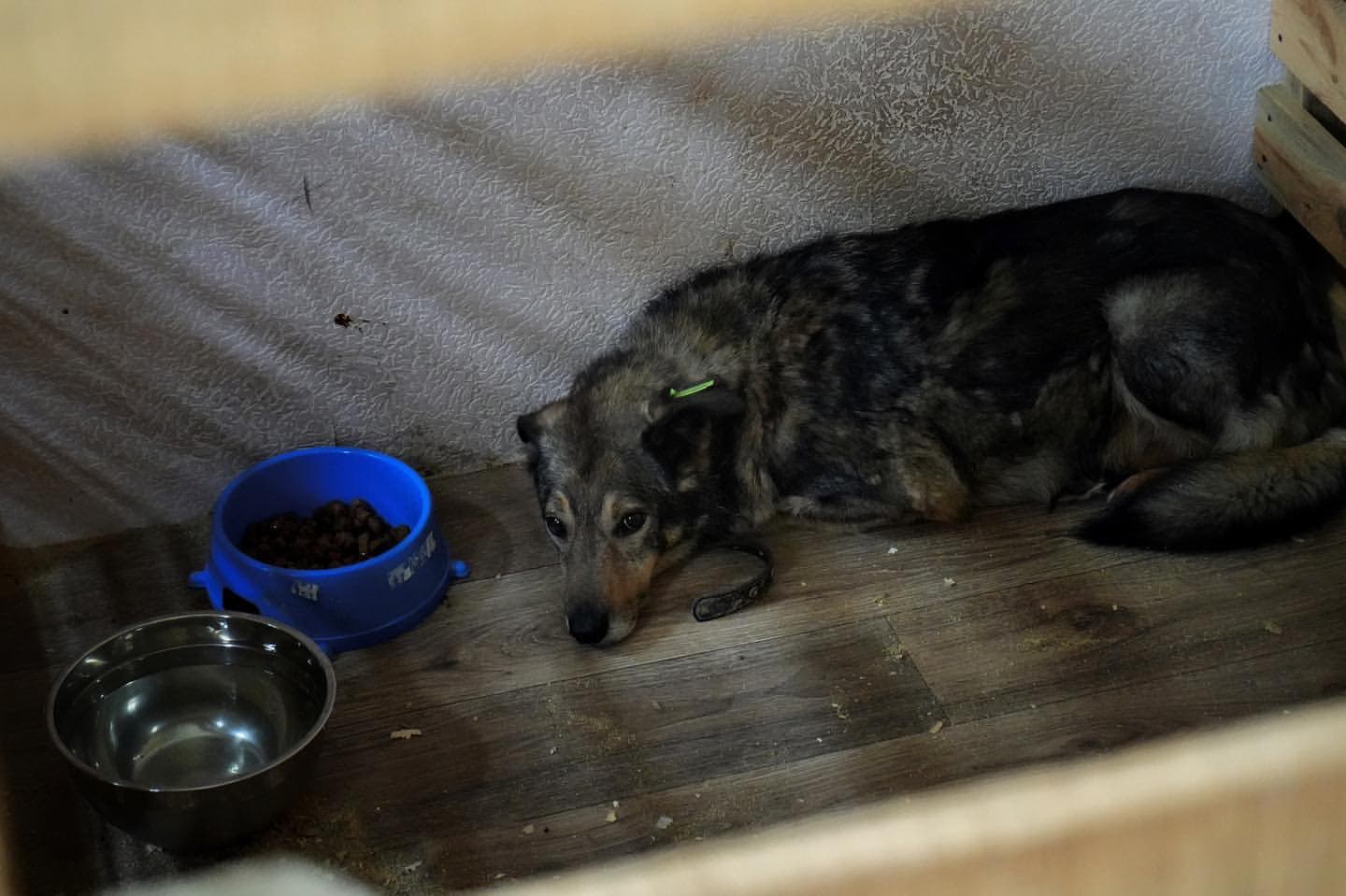 Ілюстративне фото