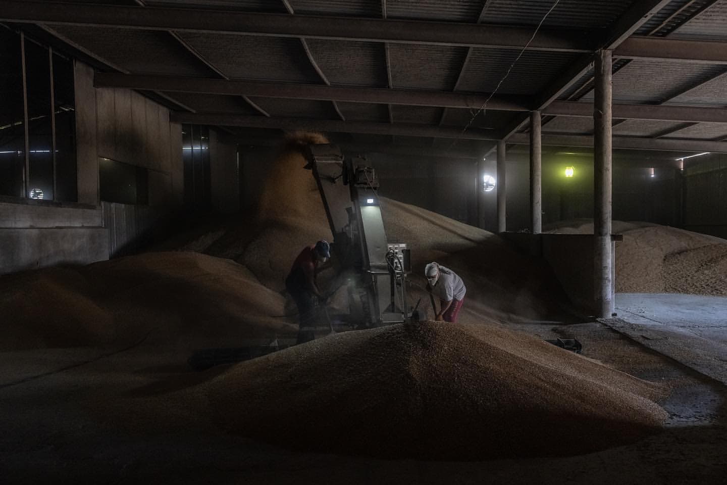 Ілюстративне фото