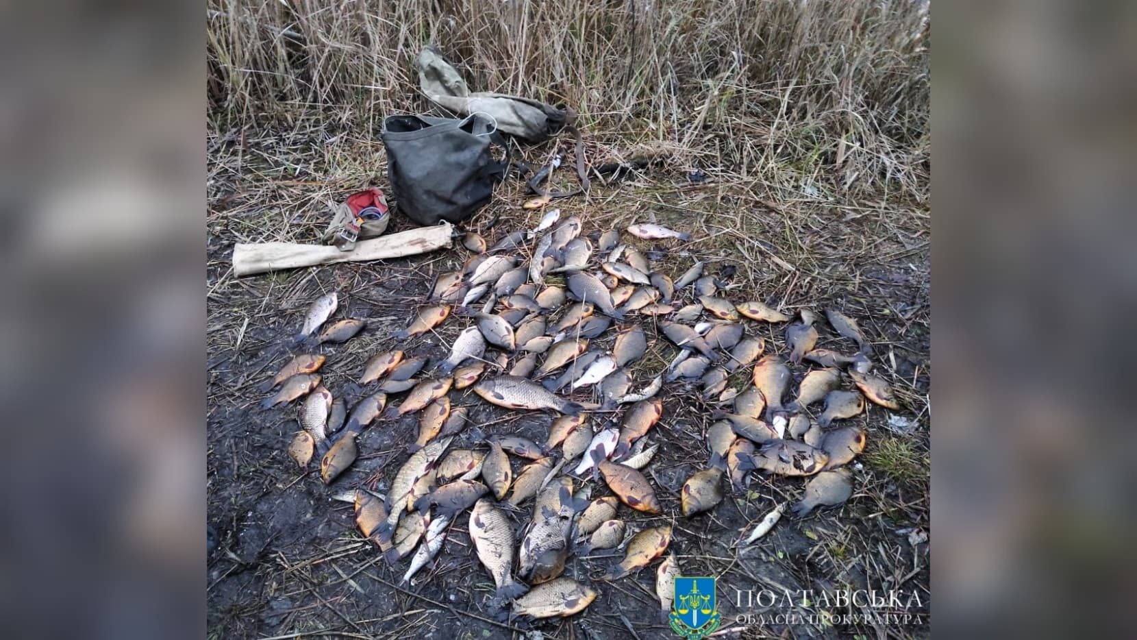 polish_20240108_175848180-3