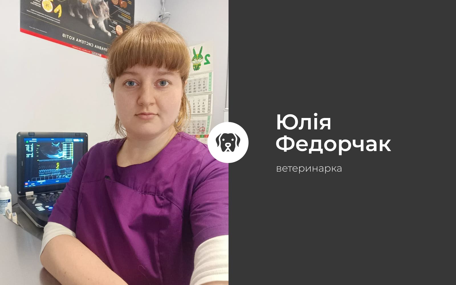 Збираємося в укриття з домашнім улюбленцем