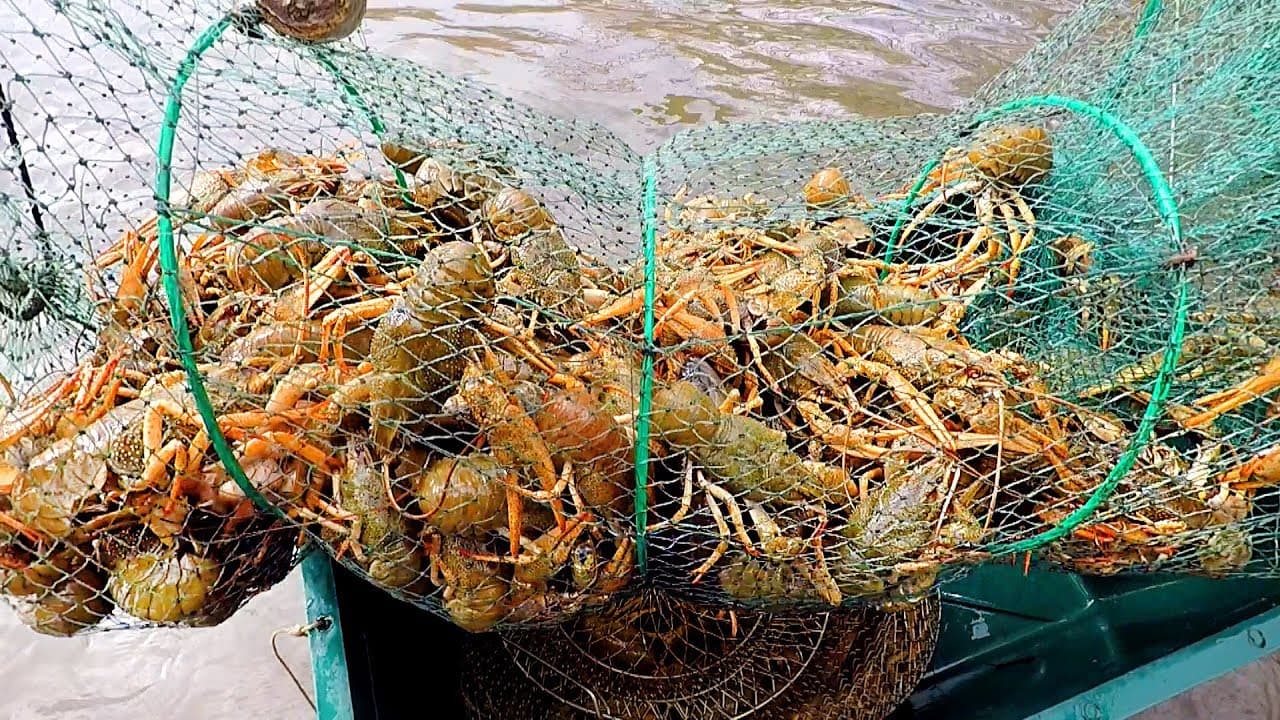 Ілюстративне фото