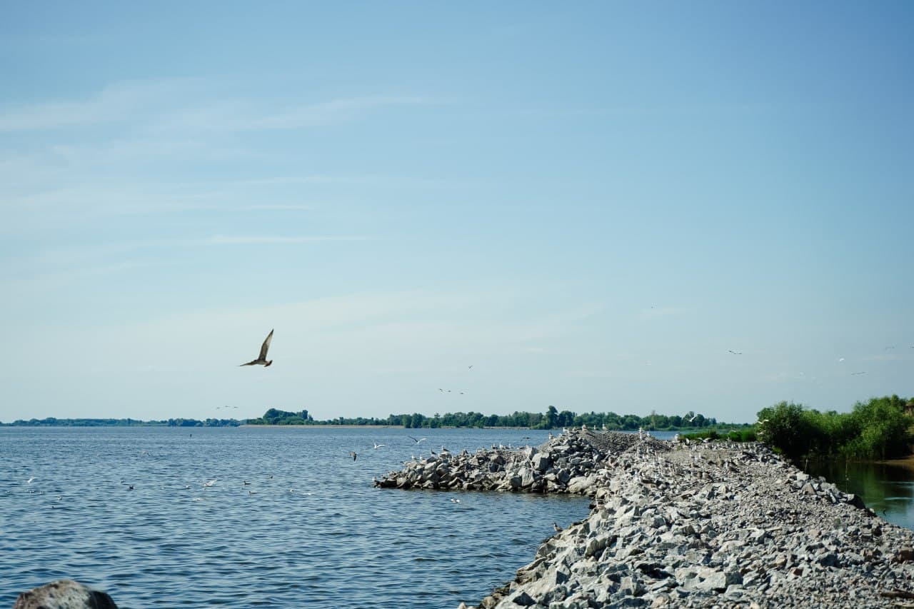 Укріплена частина берега Кременчуцького водосховища на Полтавщині