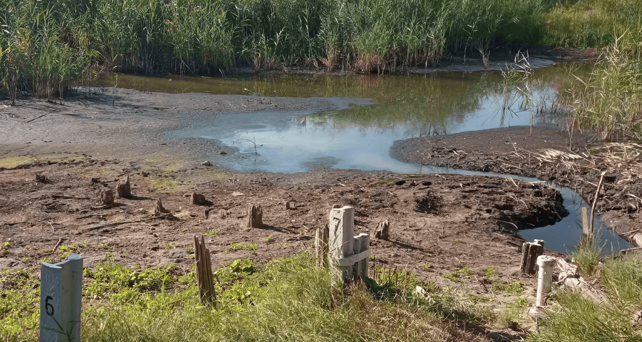 Річка Говтва пересихає. 2024 рік