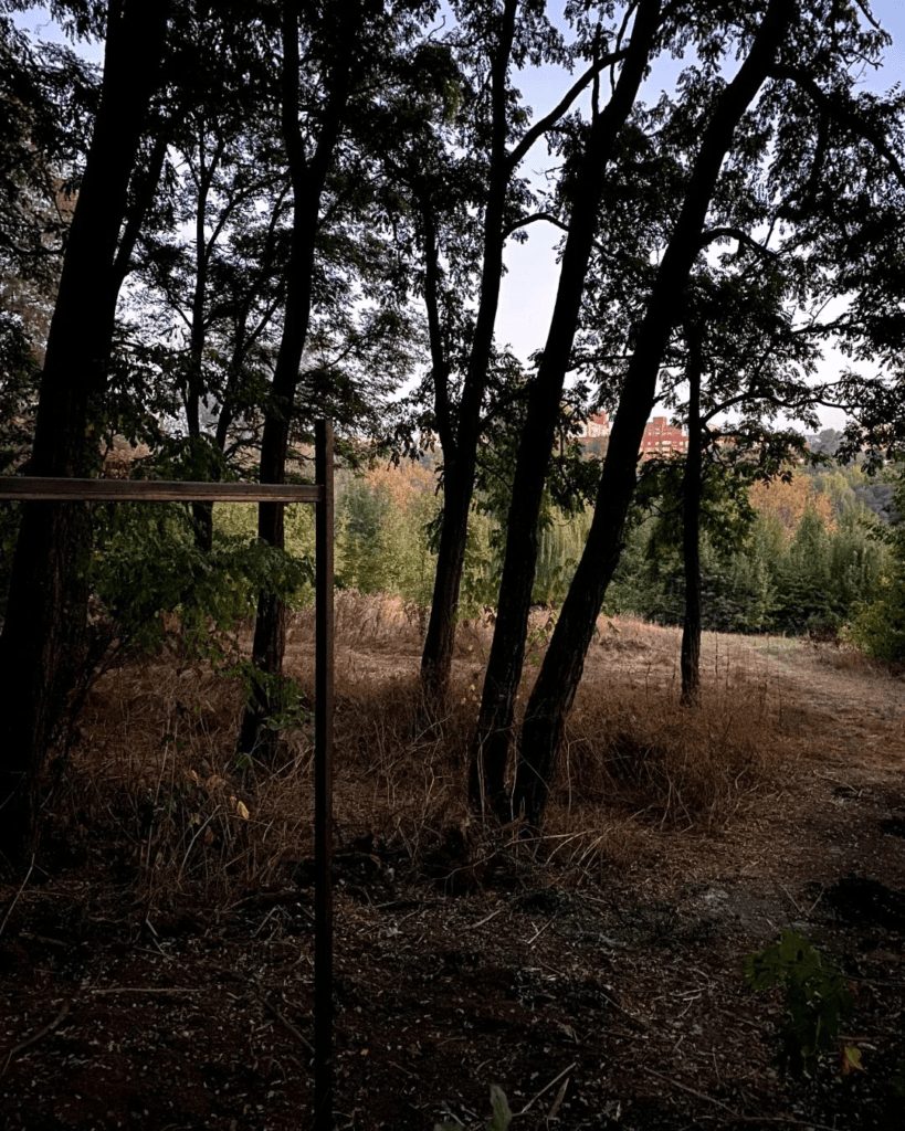 Пушкарівські ставки