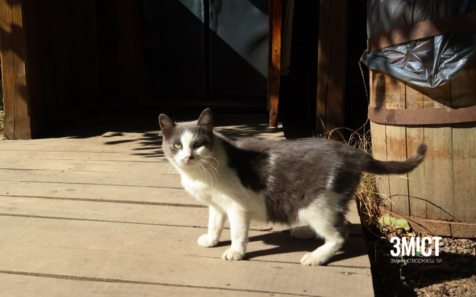 Ілюстративне фото