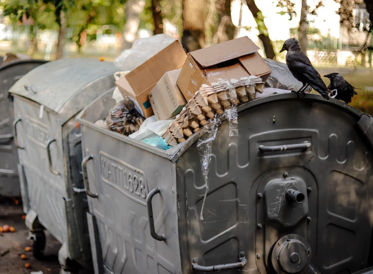 Ілюстративне фото