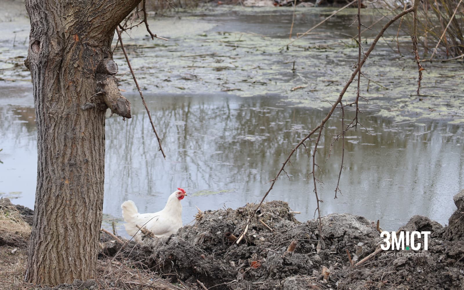 Підтоплення сіл на Полтавщині. Ілюстративне фото.