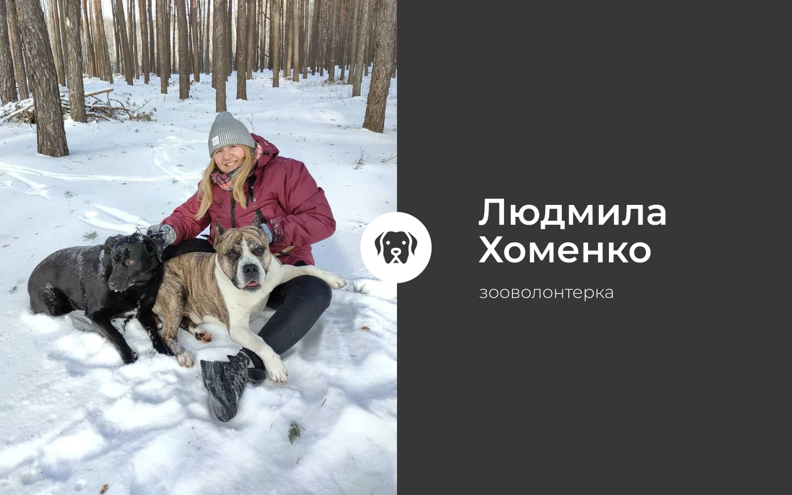 Як Полтава виграє від окремого КП, яке займатиметься виключно тваринами