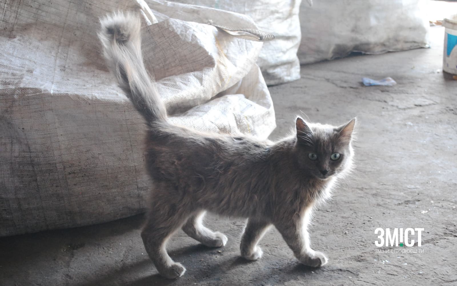 Ілюстративне фото