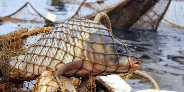 Ілюстративне фото