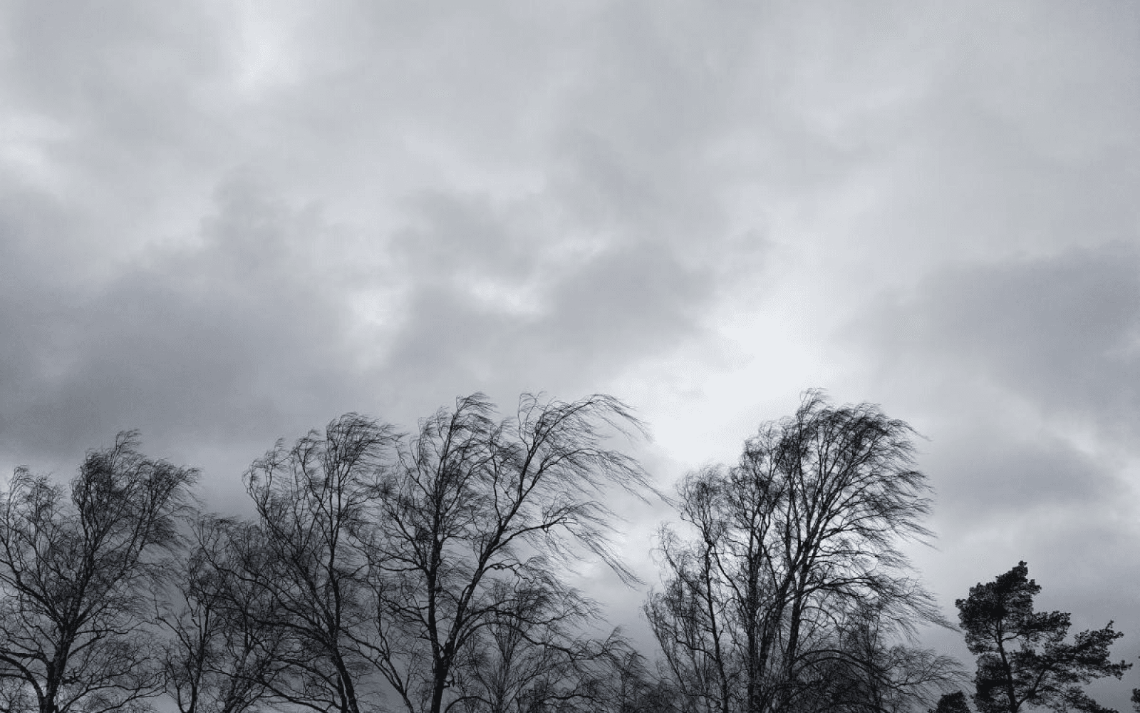 Ілюстрація сильного вітру.