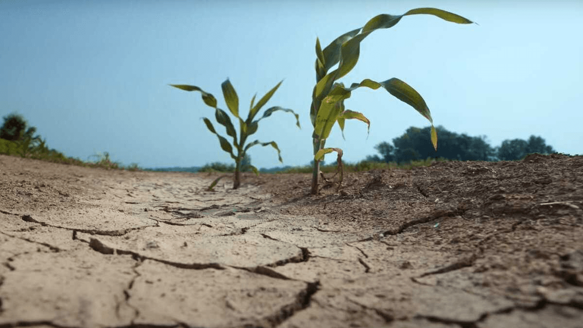 Ілюстративне фото