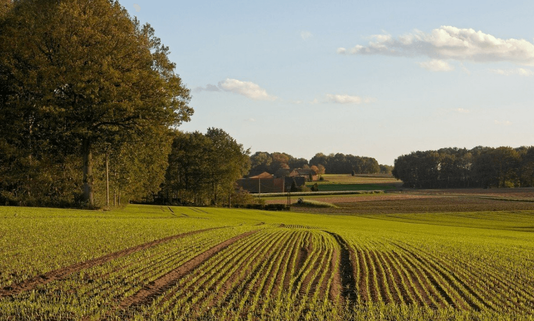 Ілюстративне фото