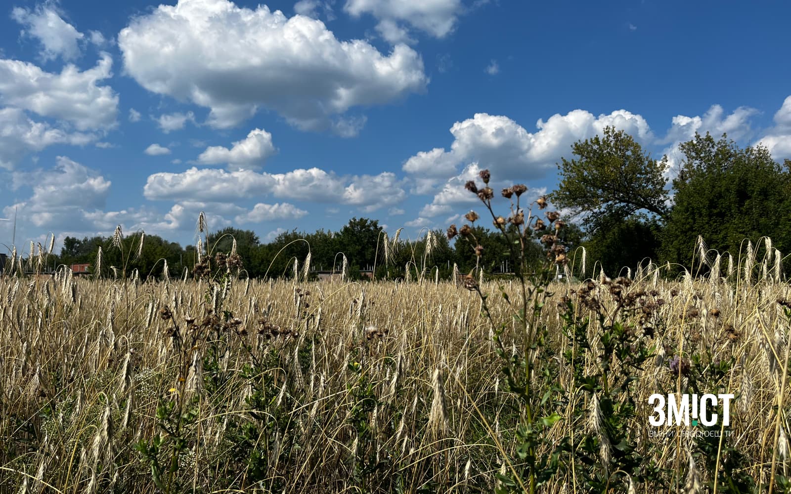 Ілюстративне фото